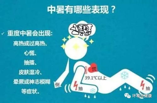 破纪录高温来袭，挑战与应对