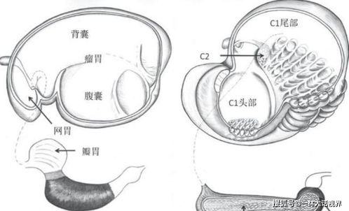 让铁规矩长出铁牙齿