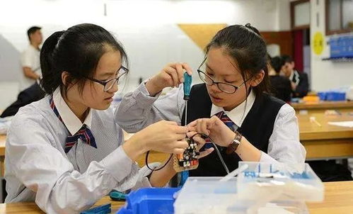 高中生与教授父亲，科研路上的共同探索与成长