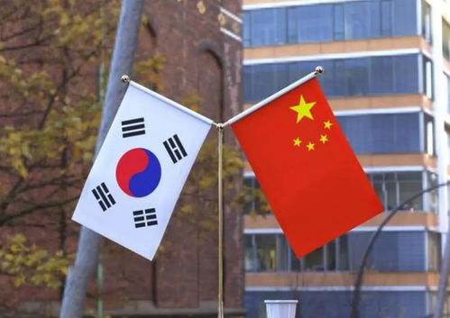 韩国大选，全民参与的民主盛事